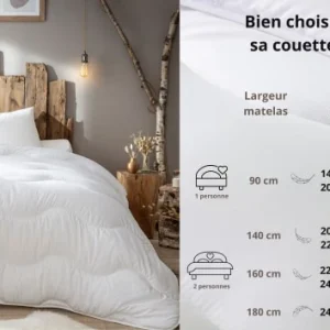 Abeil Couette Chaude Anti-acariens 200 X 200 Cm Polyester Blanc pas cher en vente 15