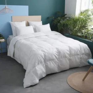 WAKE ME GREEN Couette LEGERE Préserve Les Océans – Coton 240×260 Cm livraison la plus rapide 9