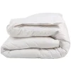 Castex Couette Naturelle Chaude Duvet D’oie Et Coton Bio 260×240 Cm Livraison rapide 16