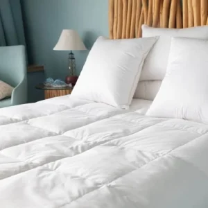 Castex Couette Naturelle Légère En Duvet Et Coton Bio 140×200 cm grossiste en ligne 11