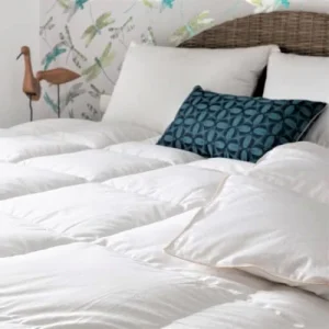 REMISE allant jusqu. Castex Couette Naturelle Tempérée En Duvet Et Coton Bio 200×200 Cm 11