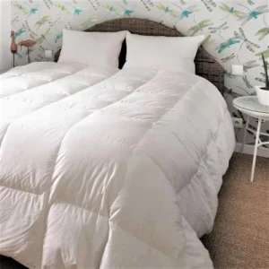 Castex Couette Naturelle Tempérée En Duvet Et Coton Bio King Size 280×240 Cm excellents soldes 9