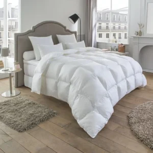 meilleure qualité Drouault Couette Népal – 80% Duvet Canard – TEMPEREE 200×200 Cm 8