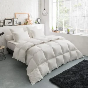 DODO Couette Thermoduv TEMPEREE – 70% Duvet D’Oie 240×260 Cm économies garanties 8