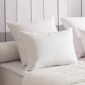 jusqu'à DODO Oreiller 90% Duvet ECO-RESPONSABLE MEDIUM 65×65 Cm 7