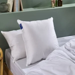 livraison la plus rapide BLEU CALIN Oreiller Duvet Moelleux 50x70cm 90% DUVET DE CANARD 8