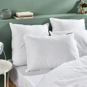 livraison la plus rapide BLEU CALIN Oreiller Duvet Moelleux 50x70cm 90% DUVET DE CANARD 10