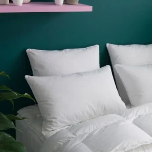 des prix incroyables WAKE ME GREEN Oreiller MEDIUM 30% Duvet Anti-acariens – Coton Bio 50×75 Cm 9