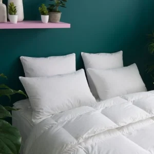 des prix incroyables WAKE ME GREEN Oreiller MEDIUM 30% Duvet Anti-acariens – Coton Bio 50×75 Cm 15