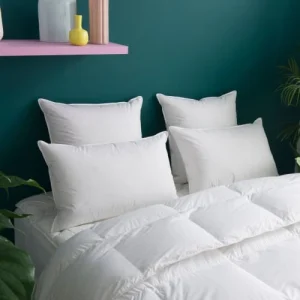 WAKE ME GREEN Oreiller MOELLEUX 80% Duvet – Coton 50×75 Cm france en ligne 15