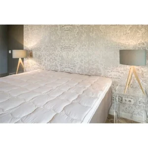 marques pas cher Brun De Vian-Tiran Surmatelas Bio Moelleux En Laine Blanc 90×190 Cm 7